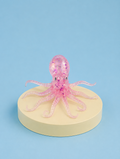 Sugar Squid